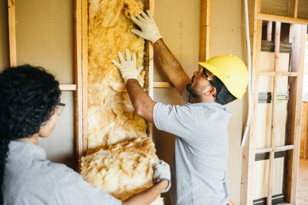 Best Spray Foam Insulation  in North Lakeport, CA